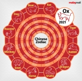 What’s your sign? Monkey, Rooster, Dog and Dragon zodiac signs the luckiest this year